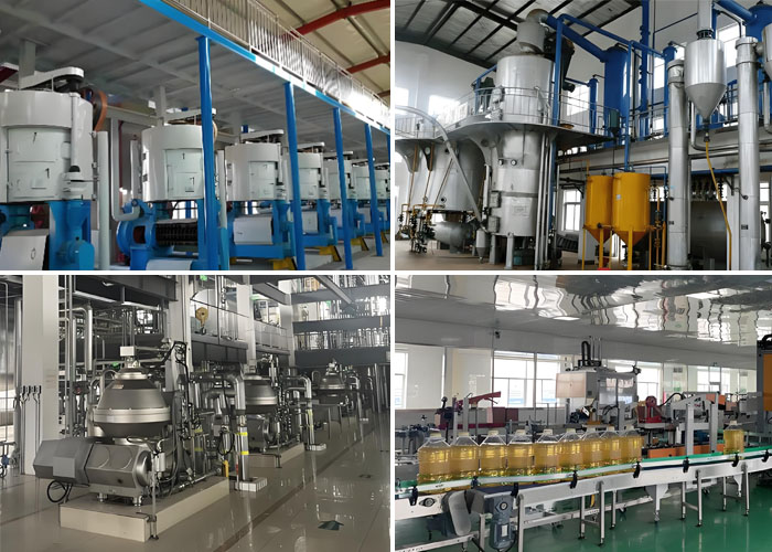 ligne de production d’huile de soja