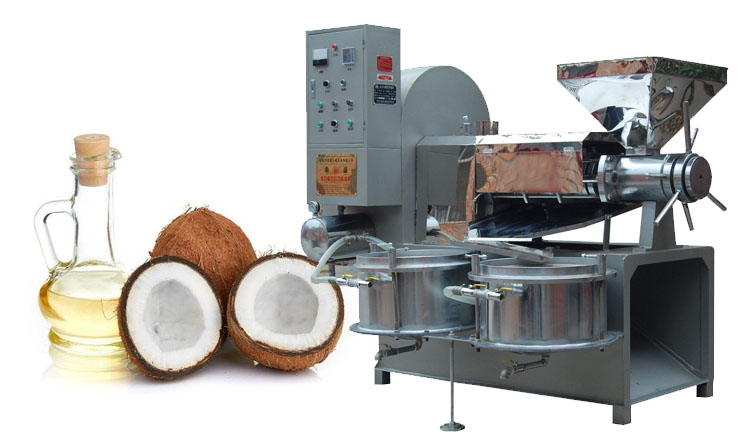 Presse à Huile de Coco & Machine d’Extraction d’Huile de Coco de Petite Capacité