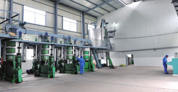 100T/D Soya Oil Plant