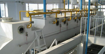 300T/D Soybean Oil Plant