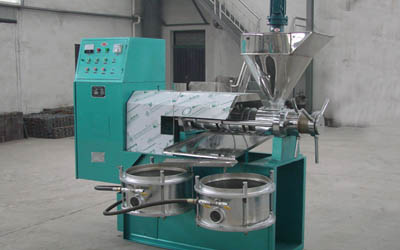 Screw oil press