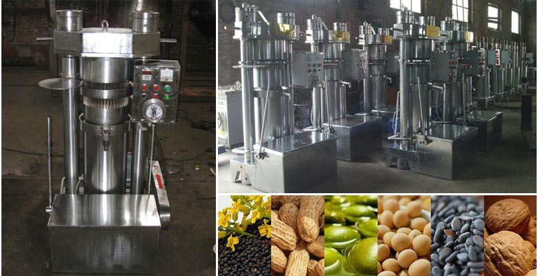 hydraulic oil press