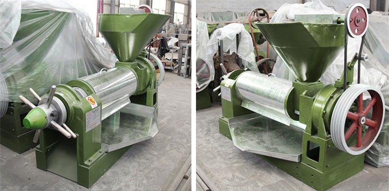  palm kernel oil press machine