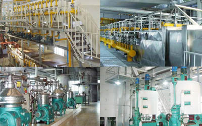 Oil Mill Plant