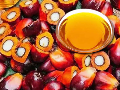 Palm & Palm oil