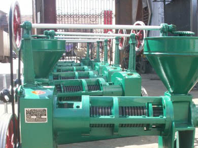 Scrwe oil press machine