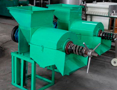 Palm Oil Press