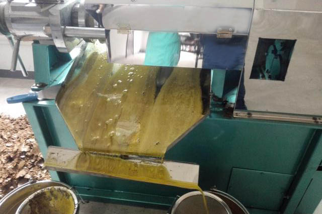 Soybean oil press