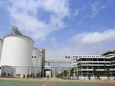 1000tpd soybean oil plant