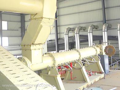 Soybean extruder