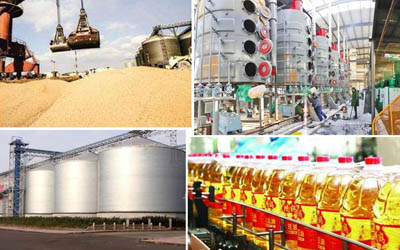 Soybean oil extraction technology and process