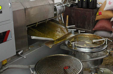 Seed oil press