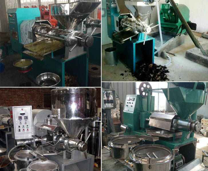 Palm kernel expeller machine