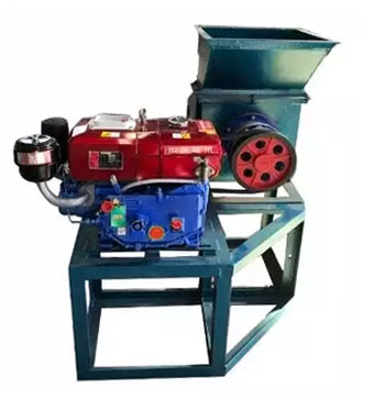 palm fruit oil press machine