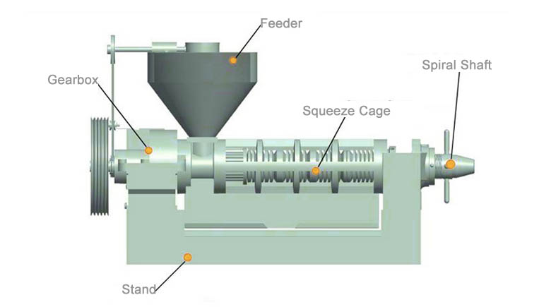 Screw oil press