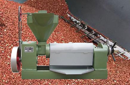 Peanut oil press