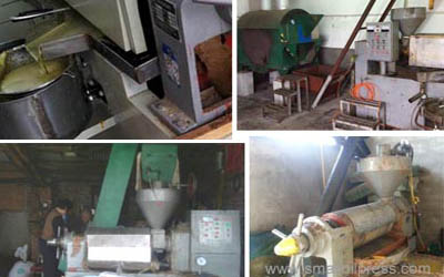 Reasons for less oil yield of oil press