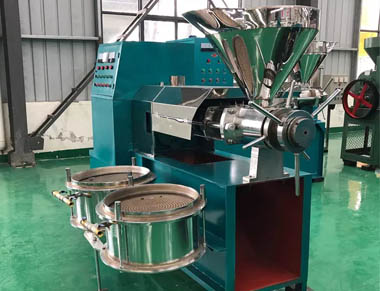 Sunflower seed oil press