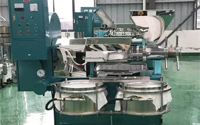 Sunflower seed oil press