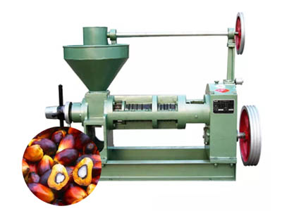 palm oil press