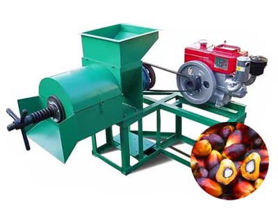 Palm oil press