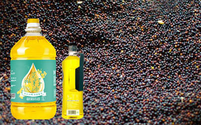 rapeseed oil