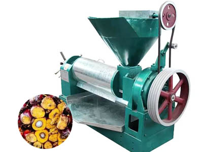 Palm kernel oil extraction machine