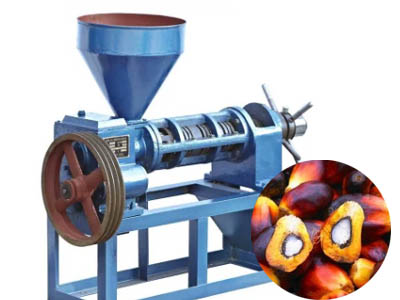 Palm oil extraction machine