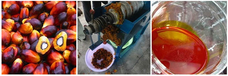 Palm oil machine producing process