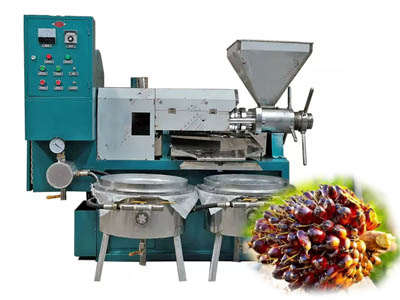 palm oil extraction machine