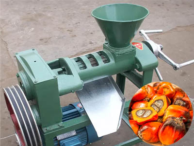 Palm fruit oil extraction machine