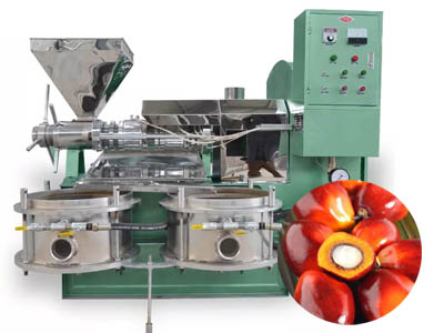 Palm oil pressing machine