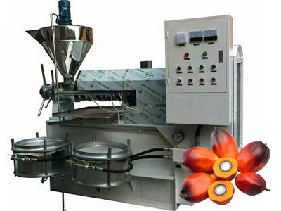 Palm oil extraction machine