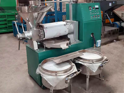 High Performance Sunflower Oil Press, Best Price