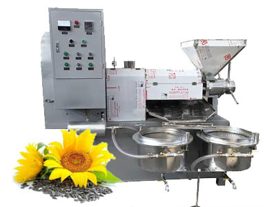 Sunflower oil extraction machine for sale