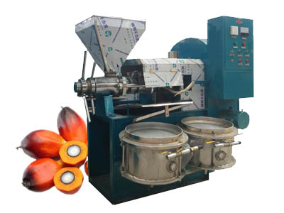 Palm kernel oil extraction machine, palm oil mill for sale