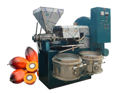 Palm kernel expeller machine