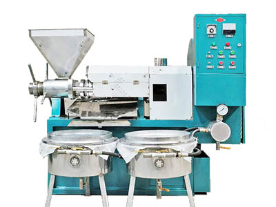 Integrated automatic  sunflower oil press machine