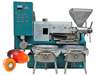Factory price palm kernel oil expeller machine, palm kernel oil processing machine