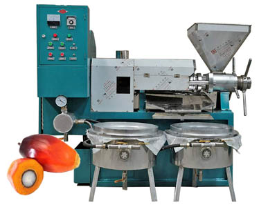 Palm oil expeller