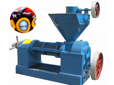 Palm kernel oil press