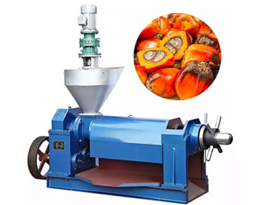 palm oil extraction machine 