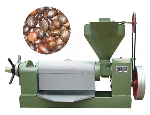 Palm kernel oil press