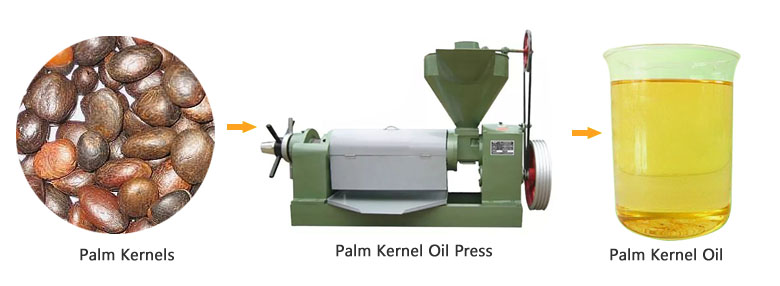 Palm oil extraction machine