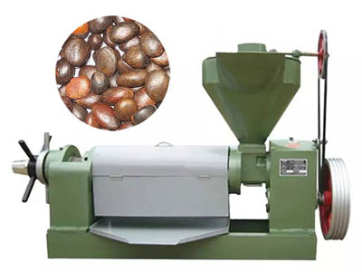 Palm kernel oil press, small palm oil extraction machine for sale