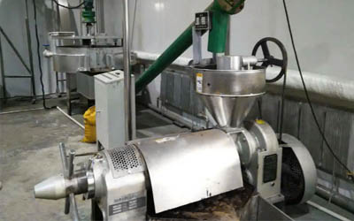What factors need to be considered when investing in a small oil press factory