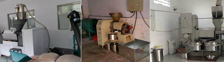 Mini Oil Mill Plant