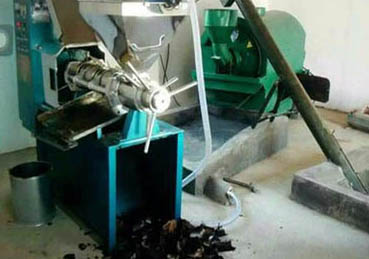 Mini Oil Mill – The Small-Scale Edible Oil Production Solution