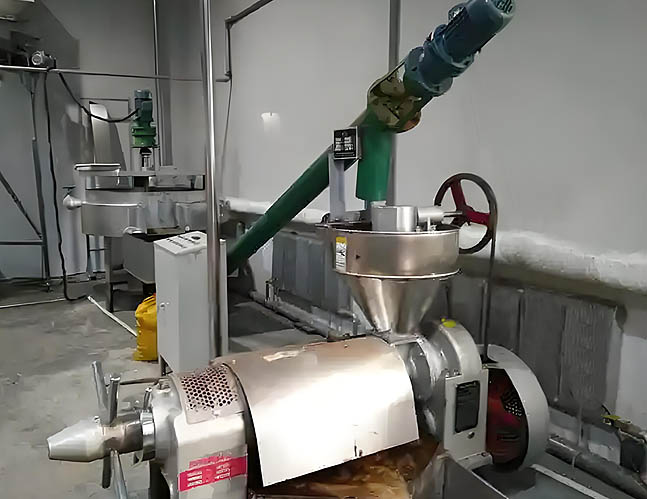 Mini oil mill plant