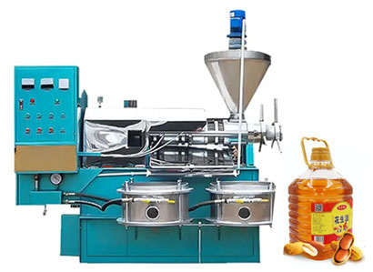Peanut oil press